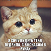 Аватар пользователя Vovik1235