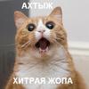 ������ ������������ Lacosta