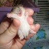 Pikabu profile picture for @Tolerance