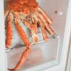 ������ ������������ PacificCrab