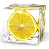 ������ ������������ IcyLemon