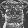 Pikabu profile picture for @archenemy
