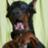 DobeRGirL