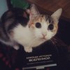 Аватар пользователя Hermine