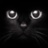 TheBlackCat