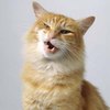 Страшные открытые переломы фото Страшные открытые переломы фото thumbnail