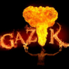 Pro100Gazik