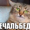 ������ ������������ podonok47