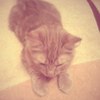 Аватар пользователя Genesyum