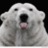 Airabear