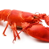   MrCrayfish