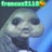 francuz2110