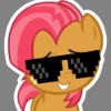 ������ ������������ HellPony