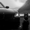 ������ ������������ Bestseller07