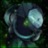 AdmiralBahroo