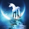 ������ ������������ WhiteUnicorn