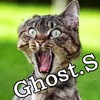   GhostS1313