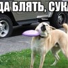 ������ ������������ sentee