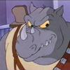 RoCkStEaDy