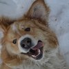 Аватар пользователя MarlyBob