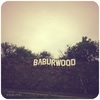 ������ ������������ baburwood