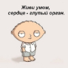 Аватар пользователя alim1cunashev