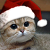 rajaram