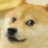 DogeFan
