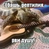 ������ ������������ V1talek