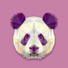 SalutionPanda