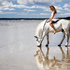 Мужчина привел лошадь. Лошадь радуется. Бегающая лошадь и девочка. Лошадка радуется. Поскакал на белом коне.