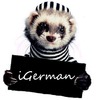 ������ ������������ iGerman