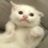 Furrycat1