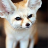 Pikabu profile picture for @kalmar
