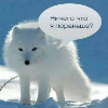 Аватар пользователя IrishaRussia