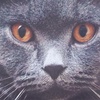 Pikabu profile picture for @glamorous