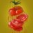 AwesomeTomato