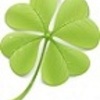 ������ ������������ 4leafClover