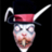 WhiteRabbit3D