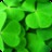 NeedLuck