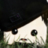 YOUtryp