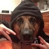 Аватар пользователя dangerhysteria