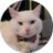 catglish