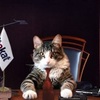 Kitekatb