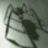 Spider3W
