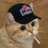 Pendium