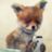 FoxInSlippers