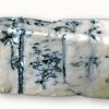   Gorgonzola