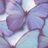 butterfly94