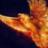 MrPhoenix